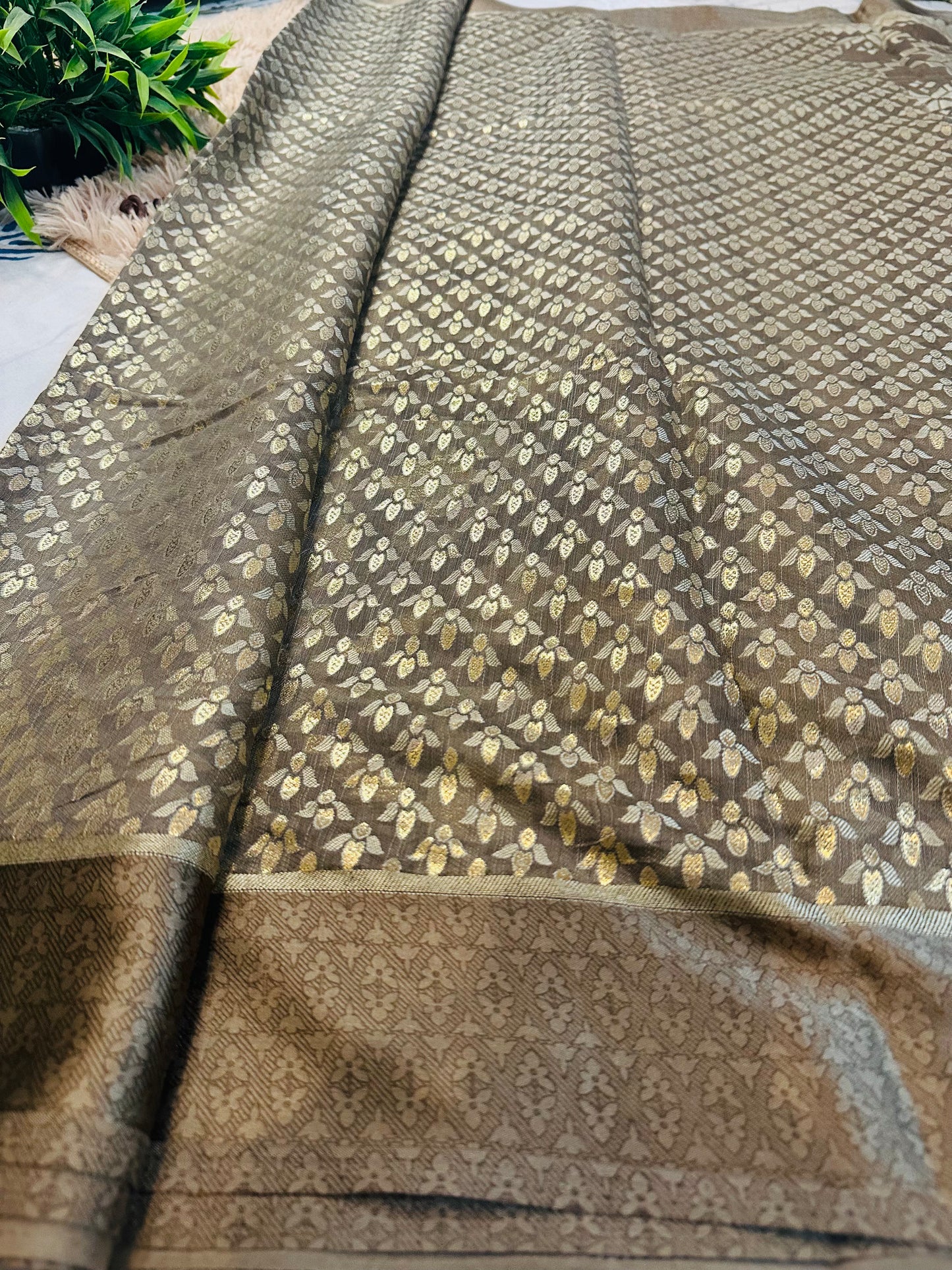 Brown Brasso Saree