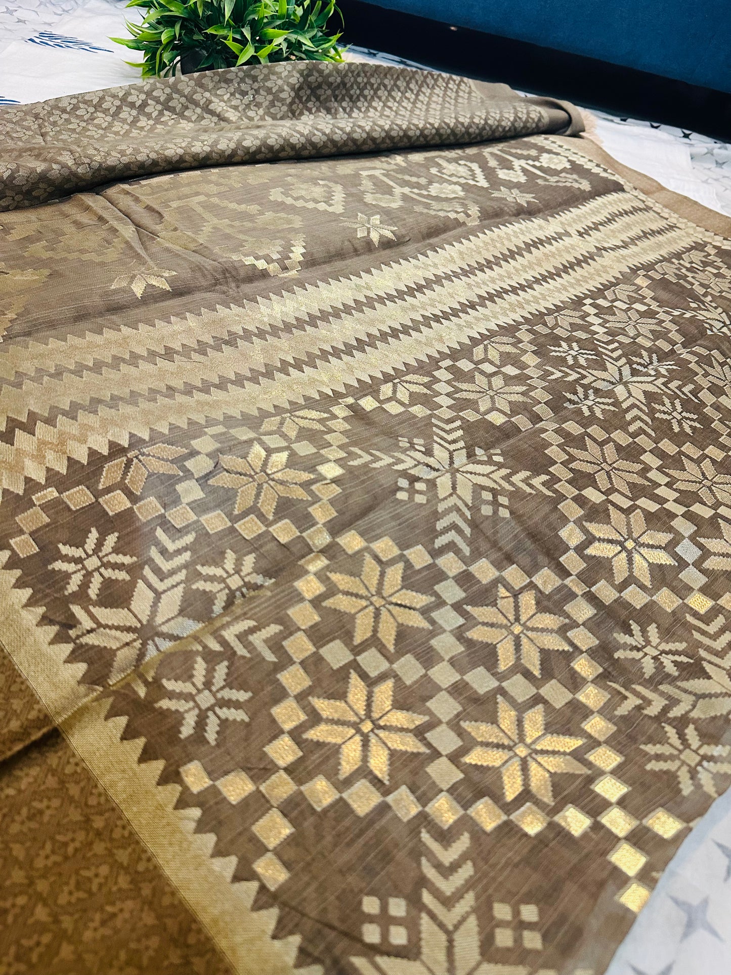 Brown Brasso Saree