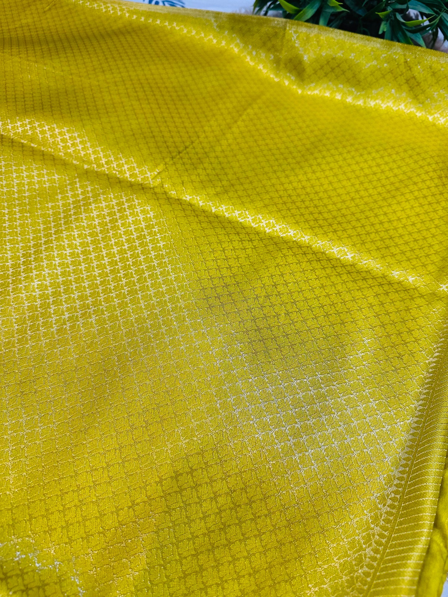 Lime Green Tissue Silk Saree